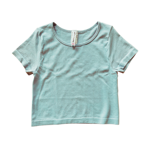 Blue Short Sleeve Ribbed Crop Top